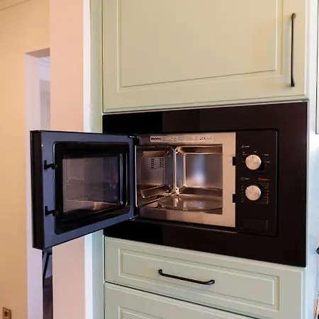 Luxurious Apartment, View * Temeşvar